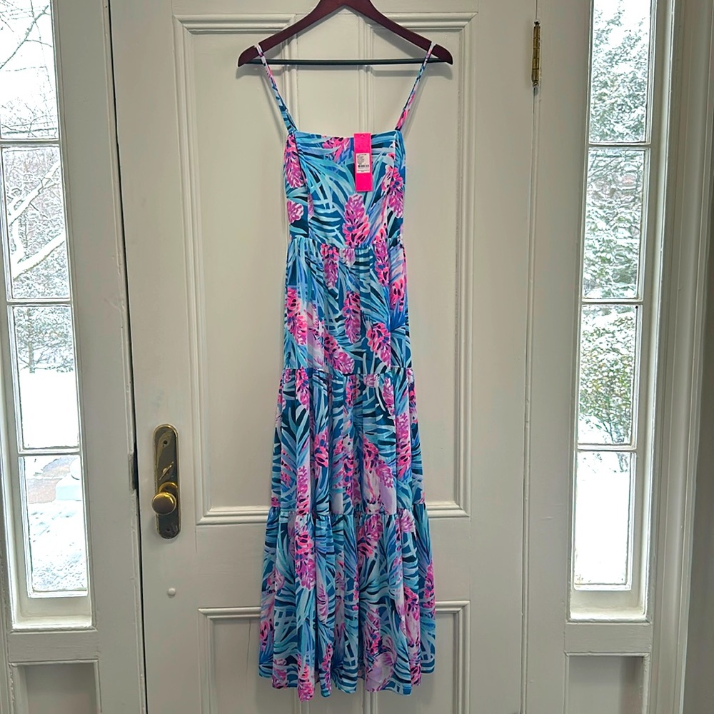Lilly Pulitzer Aviana maxi dress size 6